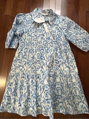 Olivaceous  Blue and White Floral Button-Front Dress